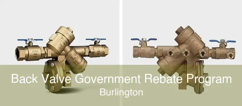Back Valve Government Rebate Program Burlington