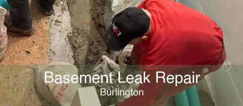 Basement Leak Repair Burlington