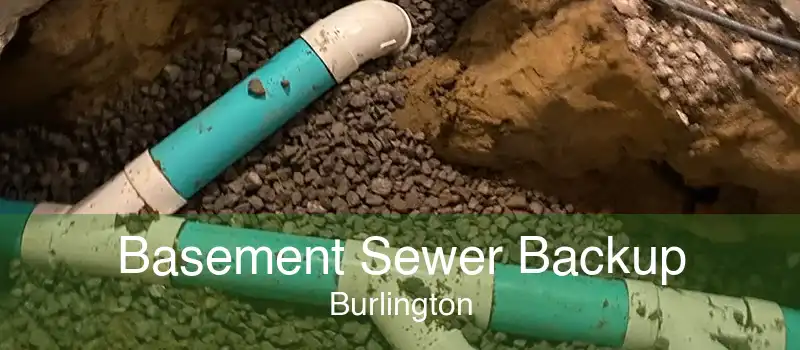 Basement Sewer Backup Burlington