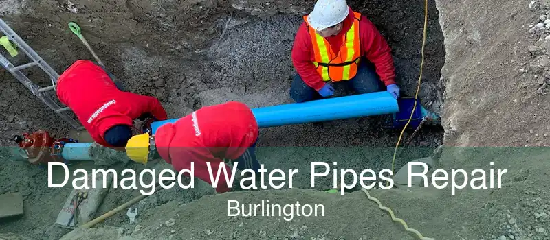 Damaged Water Pipes Repair Burlington