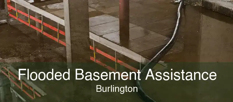 Flooded Basement Assistance Burlington