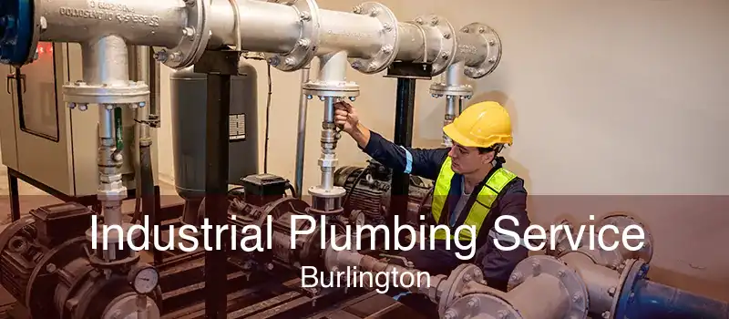 Industrial Plumbing Service Burlington
