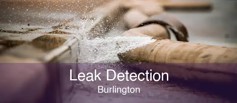 Leak Detection Burlington