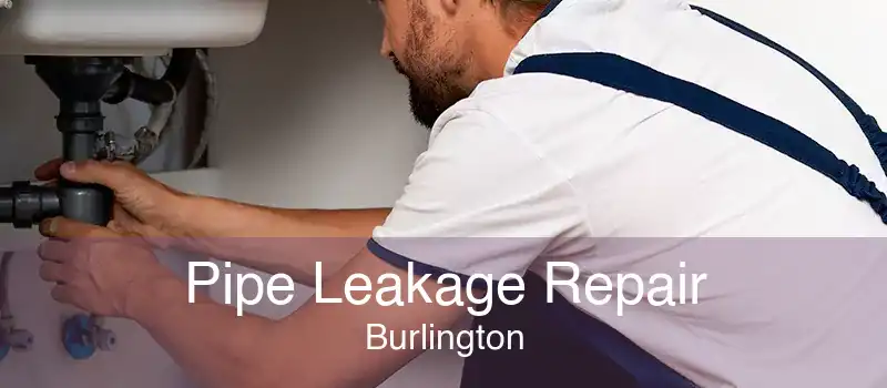 Pipe Leakage Repair Burlington