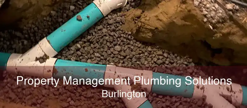 Property Management Plumbing Solutions Burlington