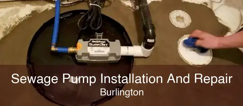 Sewage Pump Installation And Repair Burlington