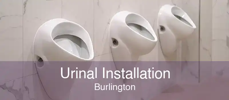 Urinal Installation Burlington