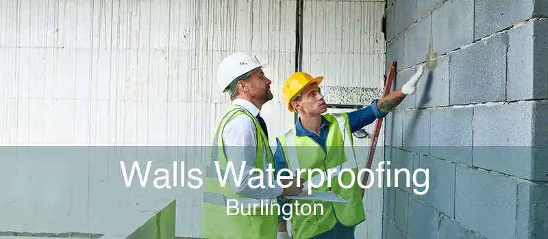 Walls Waterproofing Burlington