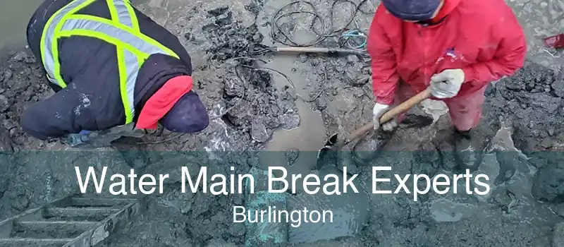 Water Main Break Experts Burlington
