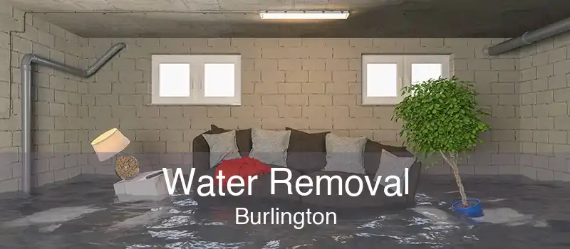 Water Removal Burlington