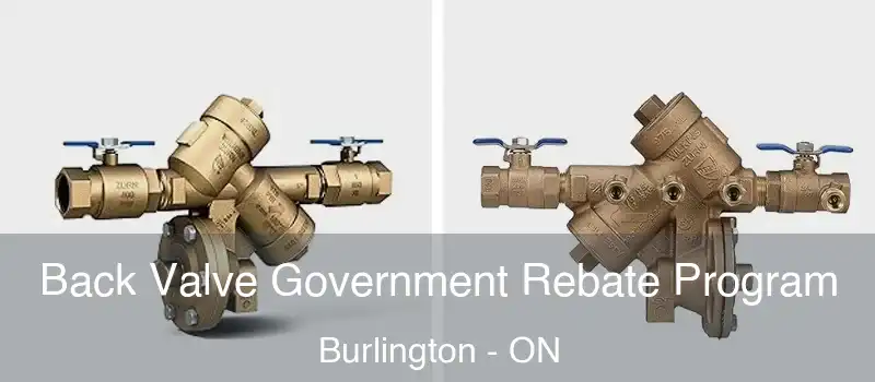  Back Valve Government Rebate Program Burlington - ON