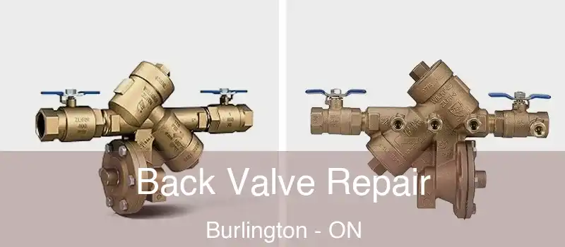  Back Valve Repair Burlington - ON