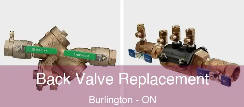  Back Valve Replacement Burlington - ON