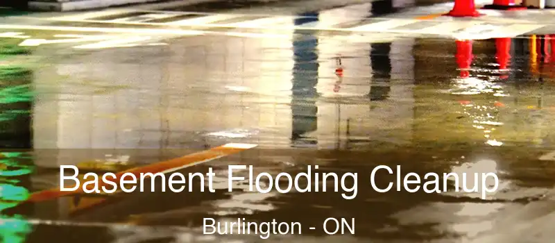  Basement Flooding Cleanup Burlington - ON