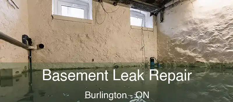  Basement Leak Repair Burlington - ON