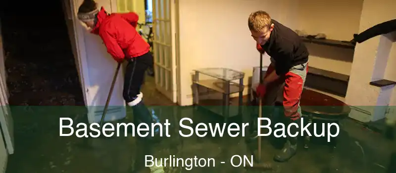  Basement Sewer Backup Burlington - ON