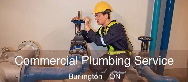  Commercial Plumbing Service Burlington - ON