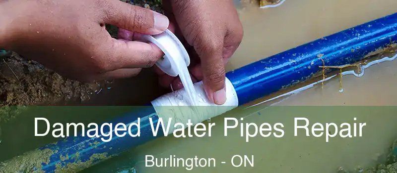  Damaged Water Pipes Repair Burlington - ON