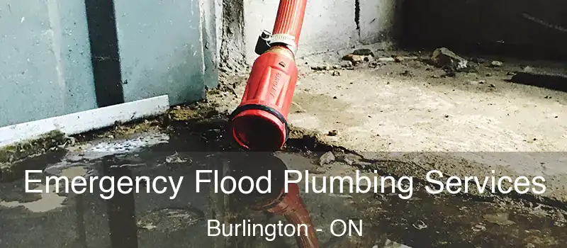  Emergency Flood Plumbing Services Burlington - ON