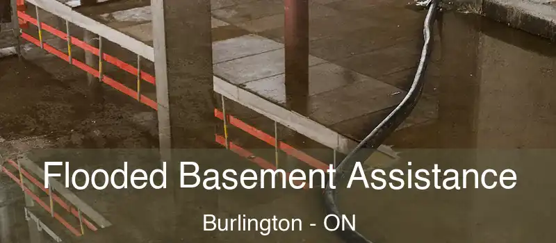  Flooded Basement Assistance Burlington - ON