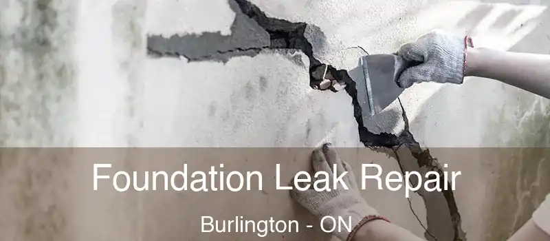  Foundation Leak Repair Burlington - ON