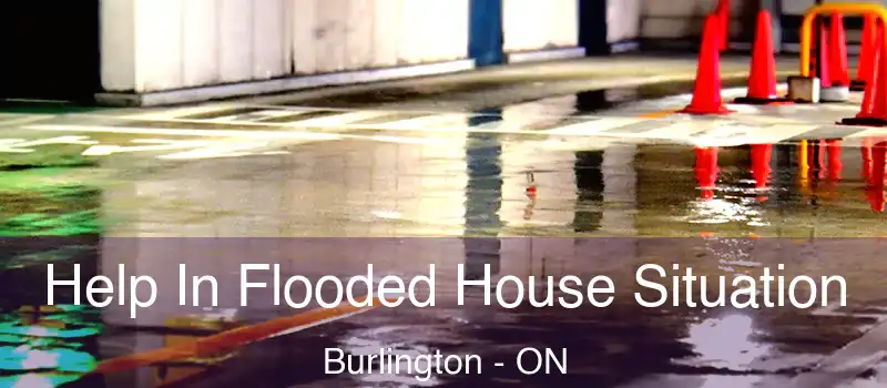  Help In Flooded House Situation Burlington - ON
