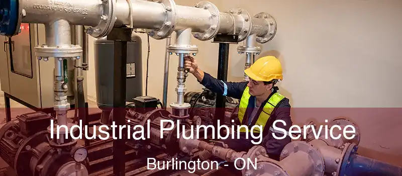  Industrial Plumbing Service Burlington - ON
