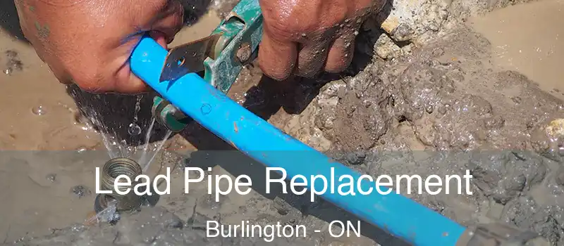  Lead Pipe Replacement Burlington - ON