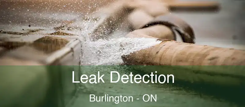  Leak Detection Burlington - ON