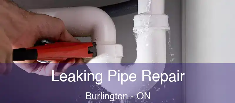  Leaking Pipe Repair Burlington - ON