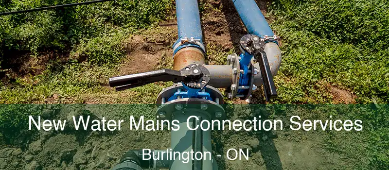  New Water Mains Connection Services Burlington - ON