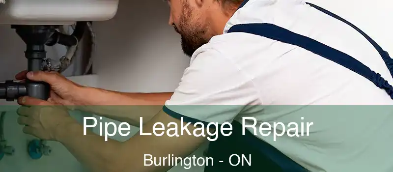  Pipe Leakage Repair Burlington - ON