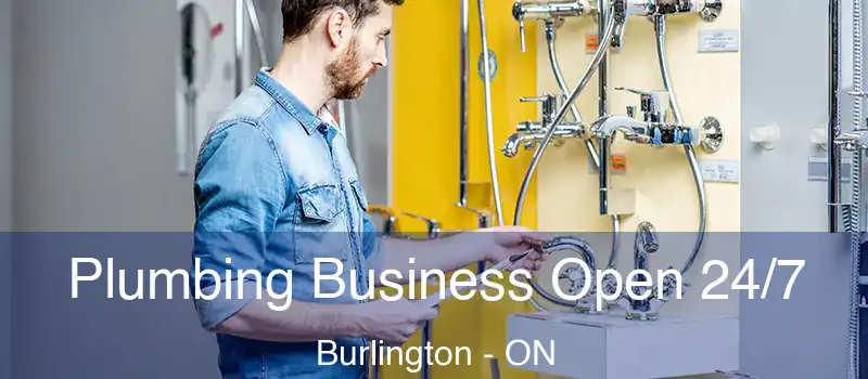  Plumbing Business Open 24/7 Burlington - ON