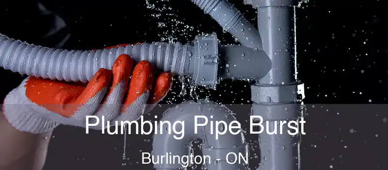  Plumbing Pipe Burst Burlington - ON