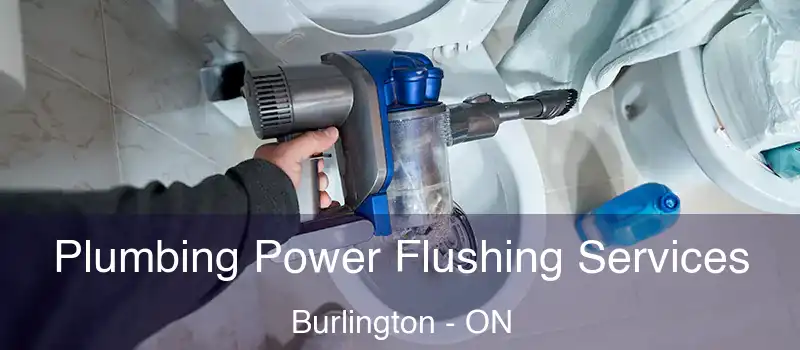  Plumbing Power Flushing Services Burlington - ON