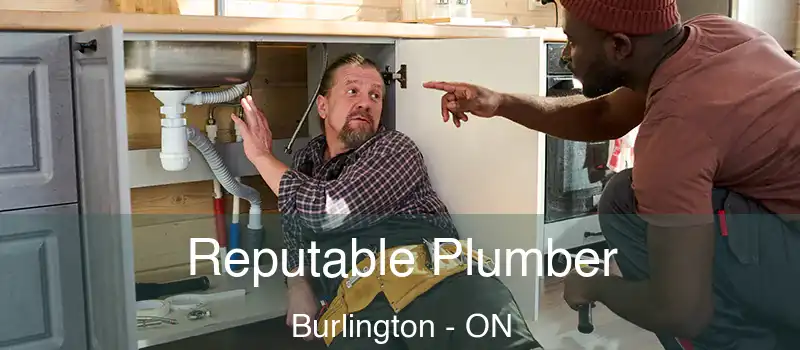  Reputable Plumber Burlington - ON