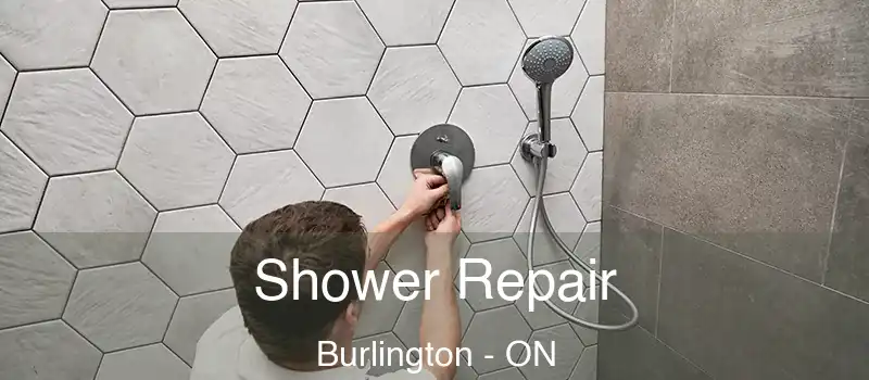  Shower Repair Burlington - ON