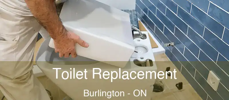  Toilet Replacement Burlington - ON