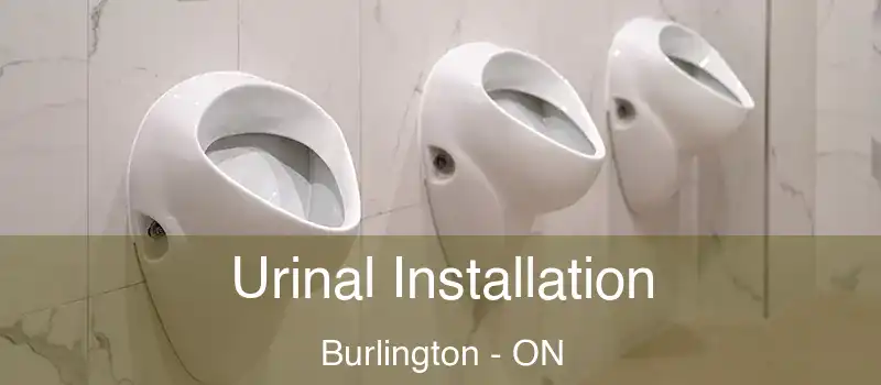  Urinal Installation Burlington - ON