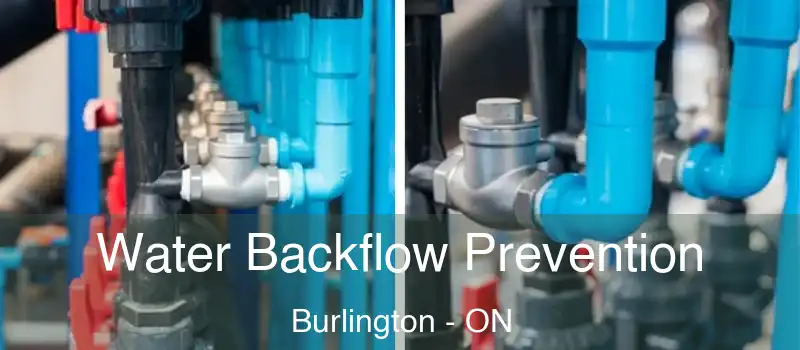  Water Backflow Prevention Burlington - ON