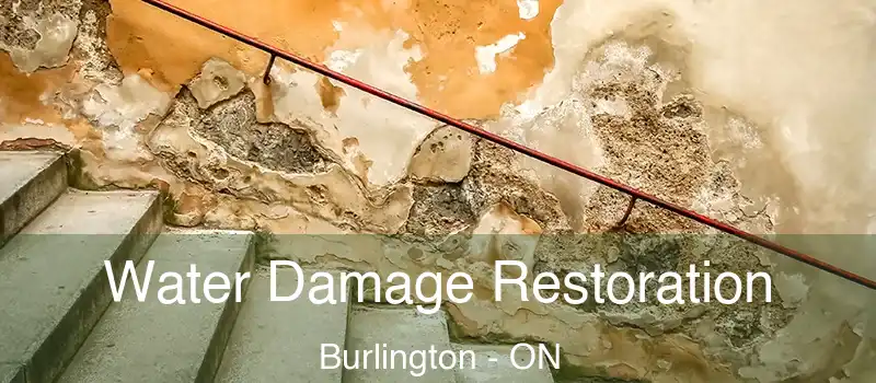  Water Damage Restoration Burlington - ON