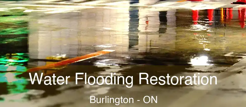  Water Flooding Restoration Burlington - ON