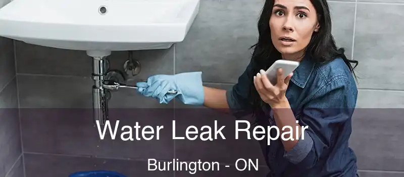  Water Leak Repair Burlington - ON
