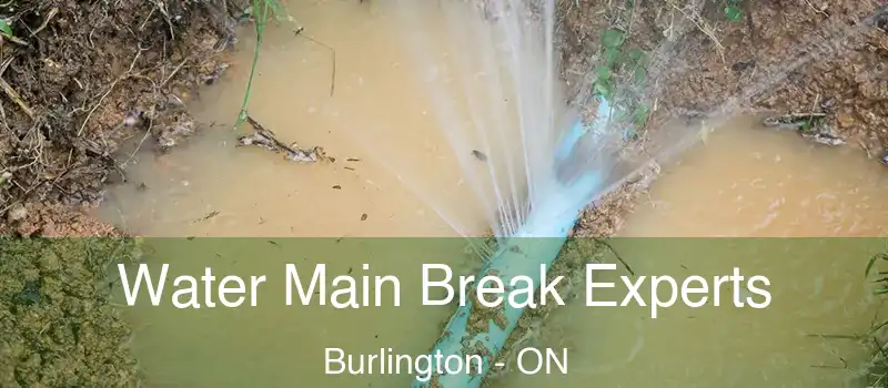  Water Main Break Experts Burlington - ON