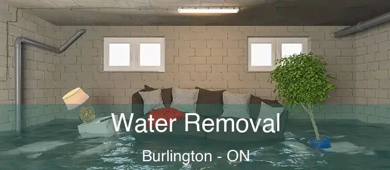  Water Removal Burlington - ON