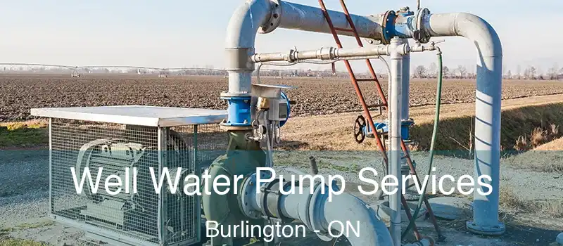  Well Water Pump Services Burlington - ON